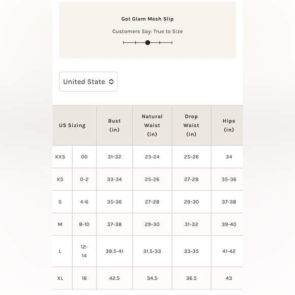 NWOT Free People Intimately, Got Glam Mesh Slip Dress, Large in Pink Salt - Picture 9 of 9